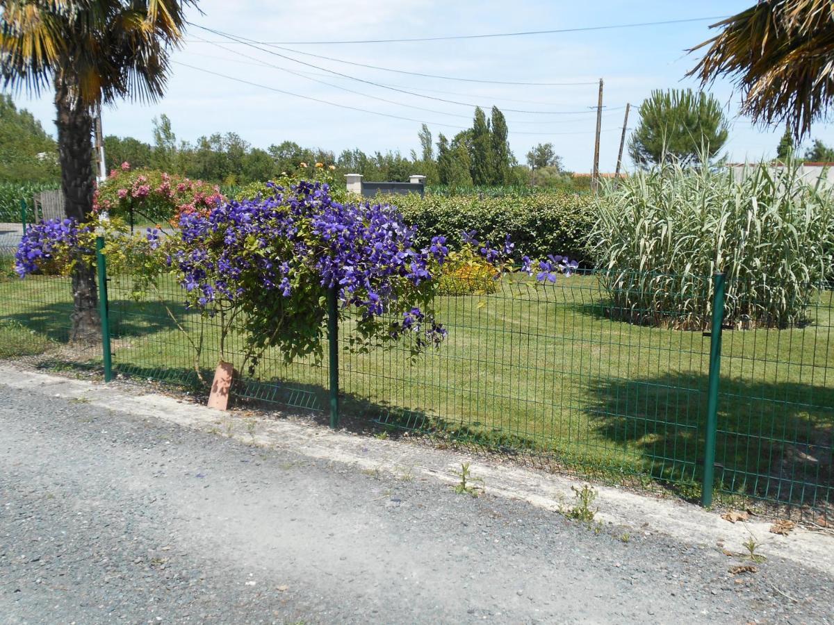 Marais Poitevin Gite "Volets Bleu Clair": Rustic Retreat with Fishing, Boating, and Cycling La Taillee Exterior photo