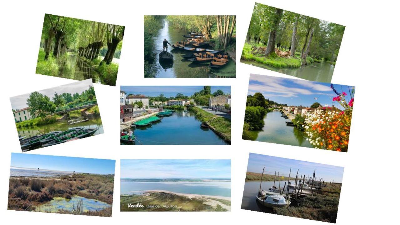 Marais Poitevin Gite "Volets Bleu Clair": Rustic Retreat with Fishing, Boating, and Cycling La Taillee Exterior photo